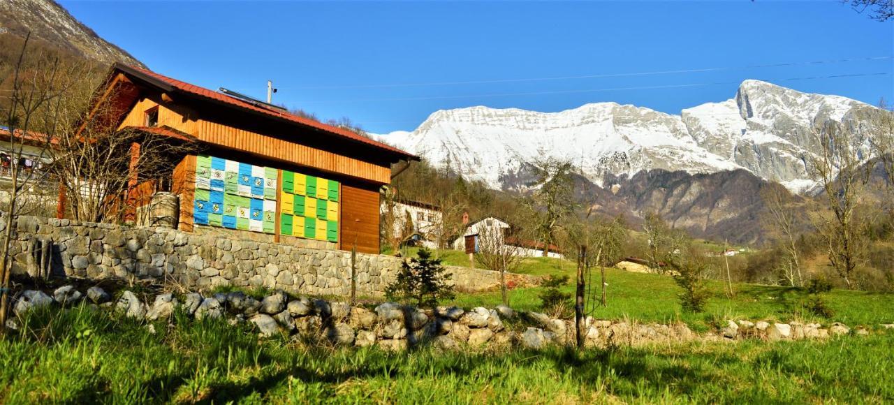 Sleeping With The Bees Kozjak Kobarid Εξωτερικό φωτογραφία