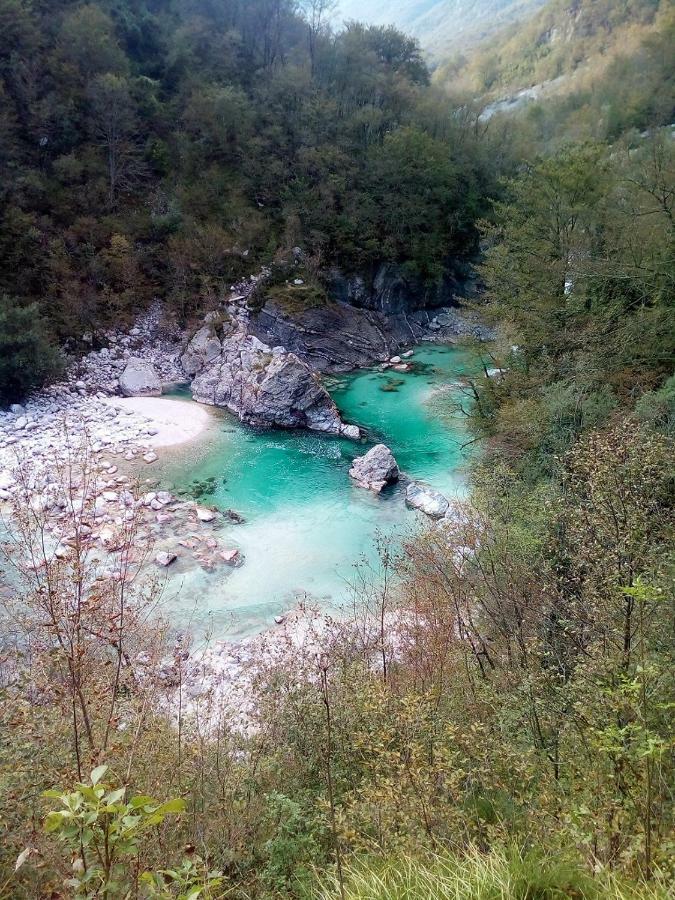 Sleeping With The Bees Kozjak Kobarid Εξωτερικό φωτογραφία